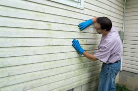 Best Insulated Siding Installation  in Polo, IL